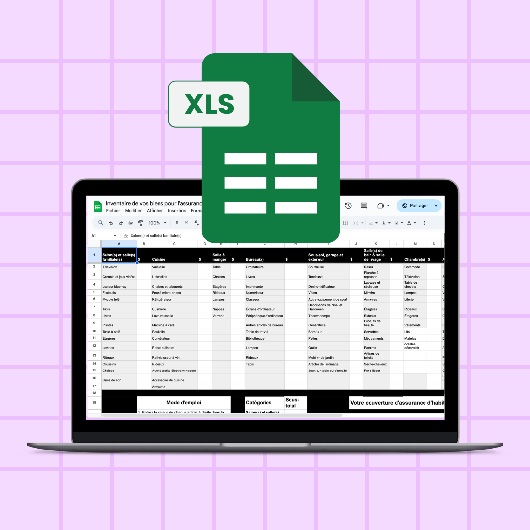 Aperçu de la feuille de calcul en format Excel pour calculer la valeur de vos biens à assurer